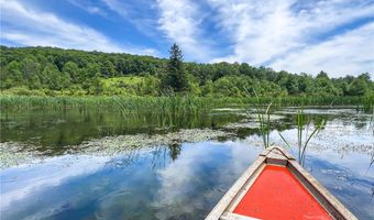 0 Woodland Hills Rd, Andes, NY 13731