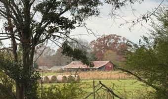 108 Brock St, Albertville, AL 35950