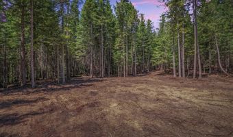 NKA Wandering Wolf Ridge Lot 3, Clark Fork, ID 83811