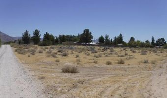 W Norite Ave, Sandy Valley, NV 89019