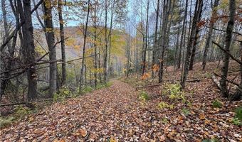 Tbd Rominger Road, Banner Elk, NC 28604