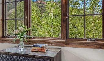 51 Thunderbowl Ln #12, Aspen, CO 81611