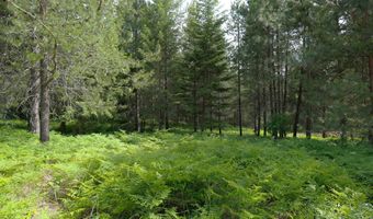 105 Ponderosa Way, Bonners Ferry, ID 83805