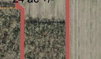 Sr 1918 Road, Aurora, NC 27806