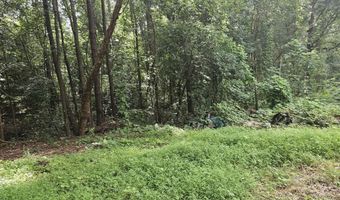 1049 Graham Pond Rd, Angier, NC 27501