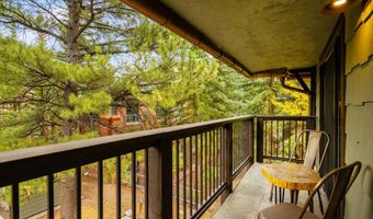 650 S Monarch St 9, Aspen, CO 81611