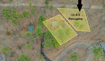 11 4 5 Porcupine Dr, Campton, NH 03223
