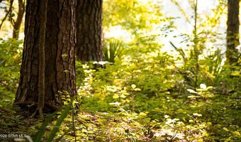 Cypress Pointe Drive lot 13, Brooksville, MS 39739