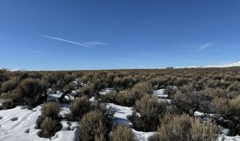 Buchanan Avenue, Elko, NV 89801