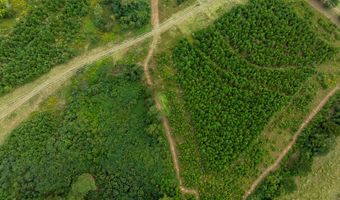 20 Ac State Hwy 95 Columbia Rd, Abbeville, AL 36310