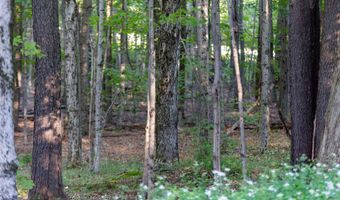 115 Upper Jaffrey Rd, Dublin, NH 03444