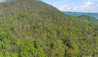 21 Reillys Bluff Rd 1, Barnardsville, NC 28709