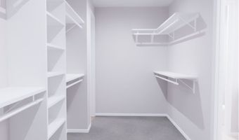 3622 Compass Pointe Ct Plan: Pelham, Angleton, TX 77515