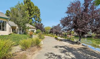 505 Lagunaria Ln, Alameda, CA 94502