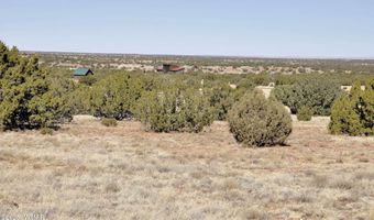 12 County Rd N8543, Concho, AZ 85924