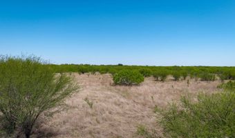 FM 735, Alice, TX 78332