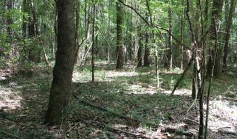 00 Pinola Braxton Rd, Braxton, MS 39044