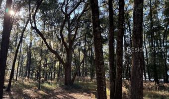 6008 Green Pond Dr, Beaufort, SC 29906