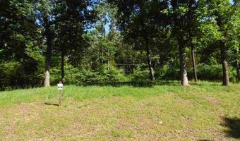ADAM Loop, Bath Springs, TN 38311