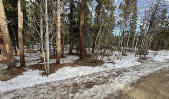 121 Aurora Rd, Black Hawk, CO 80422