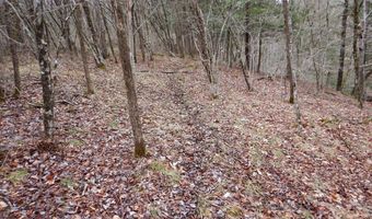 County Route 16, Angelica, NY 14709