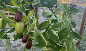 21 Agua Fria Rd, Belen, NM 87002