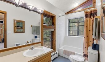 54 Ski Trail Cir, Breckenridge, CO 80424