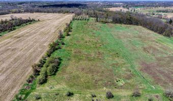 V/L W Chicago Road, Allen, MI 49227