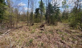 Cone Road lot # 2, Amity, ME 04471