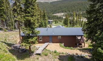 89 LEE Ln, Blue River, CO 80424