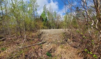 Cone Road lot # 2, Amity, ME 04471