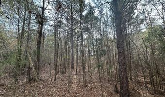 1106 LONGLEAF Way, Lincolnton, GA 30817