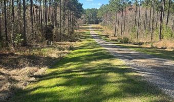 221 W 1st St, Arabi, GA 31712