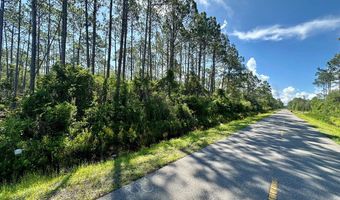 Peachtree Rd lot 56N, Apalachicola, FL 32320