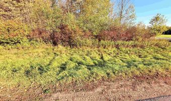 COUNTY ROAD Z lot 4, Aniwa, WI 54408