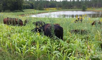 3175 Trotter Rd, Asheboro, NC 27205