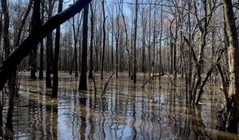 Gun Baoyu Road, Belzoni, MS 39038