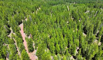 8193 Carlsberg Rd, Alturas, CA 96101
