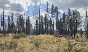 Valley Oak Lane, Bly, OR 97622
