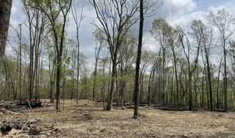 State Hwy N Tract G, Ava, MO 65608