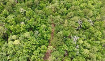 Fox Paw Court, Branchville, SC 29432