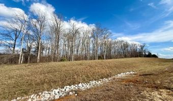 2 8 Ac E Chambers Dr, Booneville, MS 38829