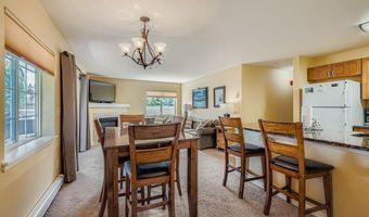 233 PELICAN Cir 1501, Breckenridge, CO 80424