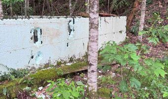88 Acres Bolden Br, Andrews, NC 28901