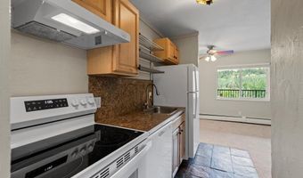 301 N FRENCH St 303, Breckenridge, CO 80424