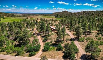 1769 Gem Ln, Bayfield, CO 81122