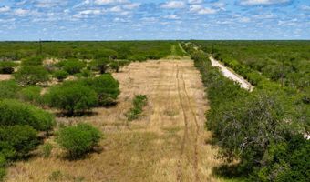 County Road 119, Alice, TX 78332