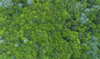Map17-Lot 31 & 33 River Road, Bath, NH 03740