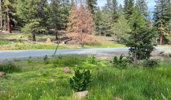 0 California Pines Blvd, Alturas, CA 96101