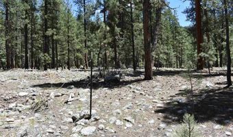 80 Ranch Rd, Bayfield, CO 81122